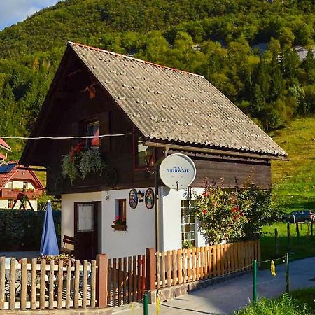 Apartmaji Bohinji-tó Kültér fotó