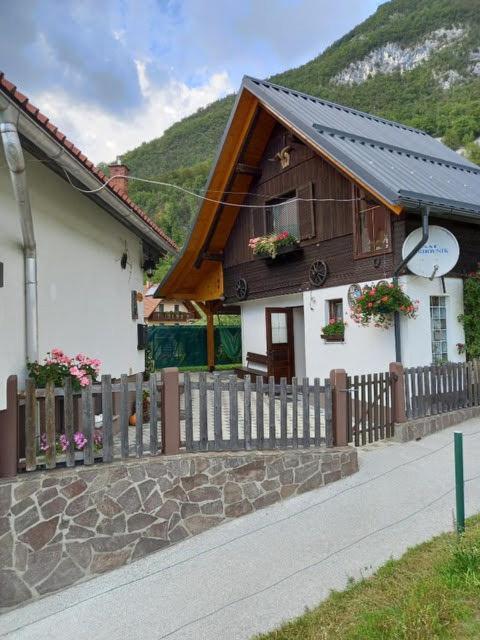 Apartmaji Bohinji-tó Kültér fotó