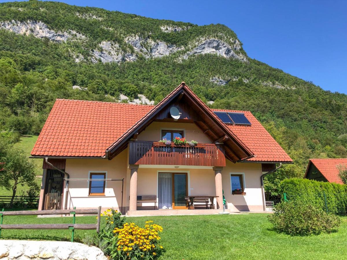 Apartmaji Bohinji-tó Kültér fotó