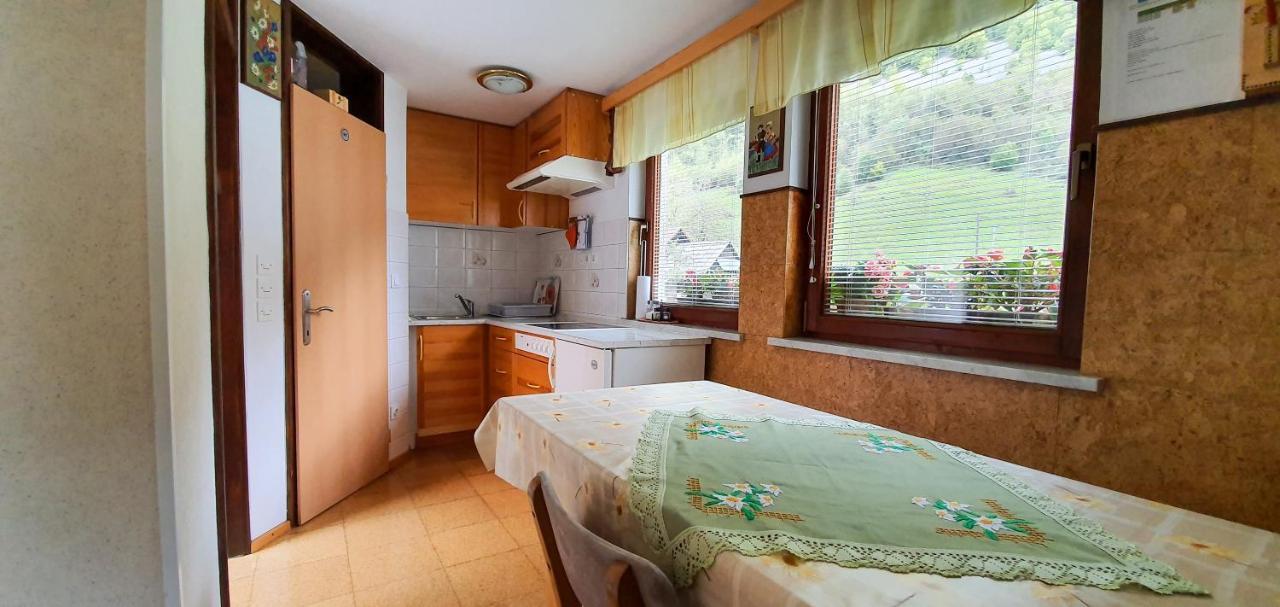 Apartmaji Bohinji-tó Kültér fotó